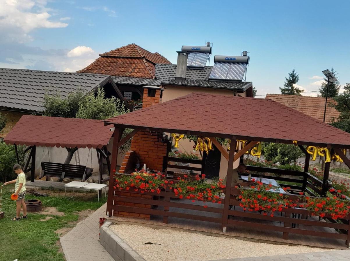 Hotel Casa Alex Topliţa Exterior foto