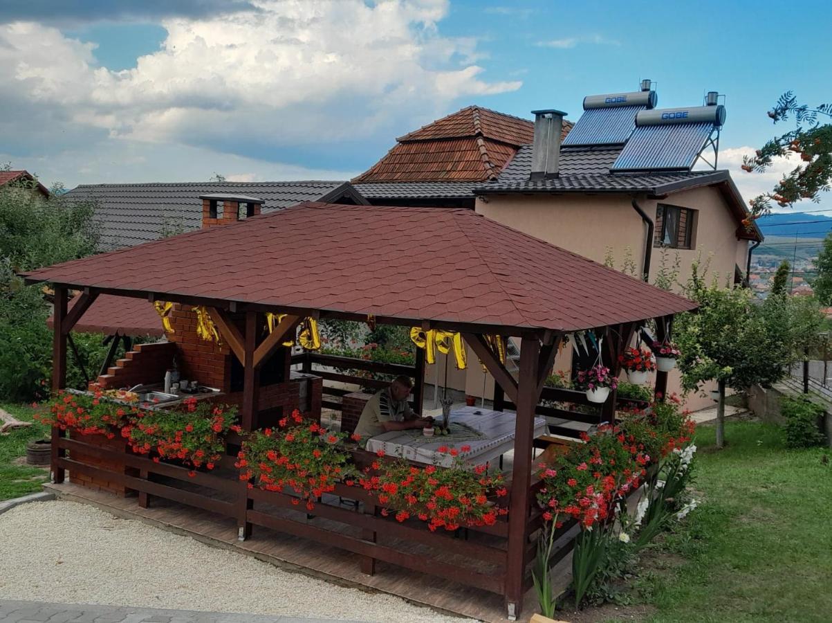 Hotel Casa Alex Topliţa Exterior foto